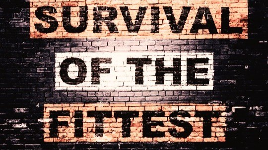 Survival of the Fittest is a Bad Metaphor -