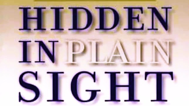Hidden In Plain Sight