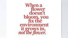 Bees Don't Chase Flowers